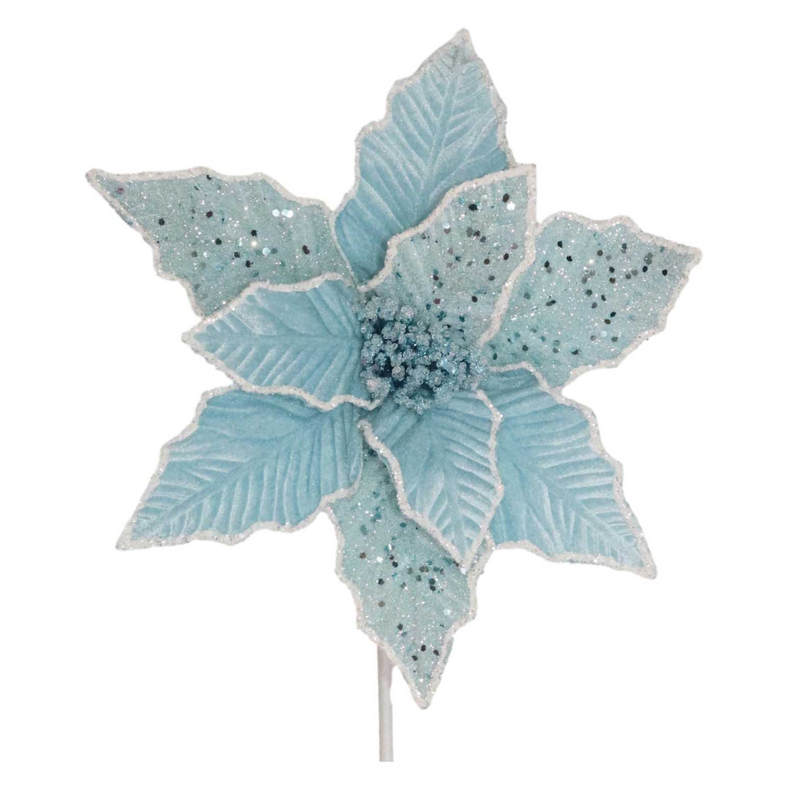 Poinsettia Pale Blue